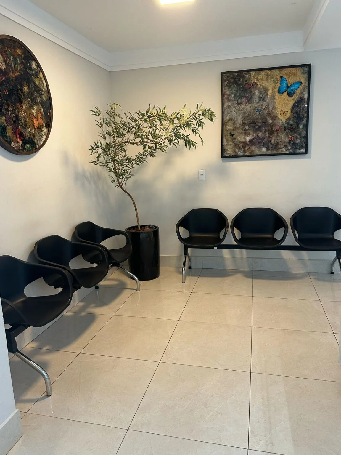 Sala de espera do Alecrim com poltronas pretas, plantas e quadros de borboletas azuis